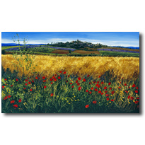 Poppies - Tuscan Meadow