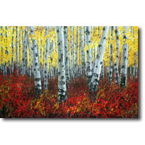Mystic Forest - Aspen art and birch paintings by JensArt