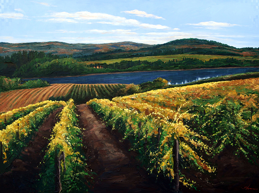 Vineyard Calm 2