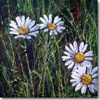 Daisies In The Rough 4