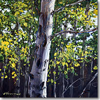 Aspen Gem 1