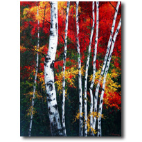 Burst Of Fall