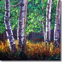 Forest Deep