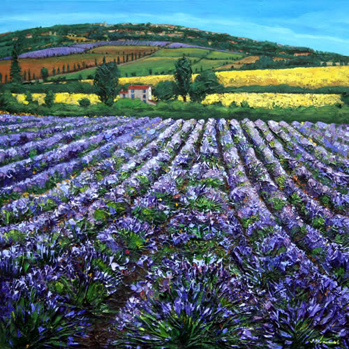 Lavender And