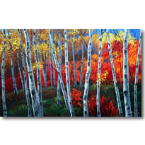 Symphony Of Color4
