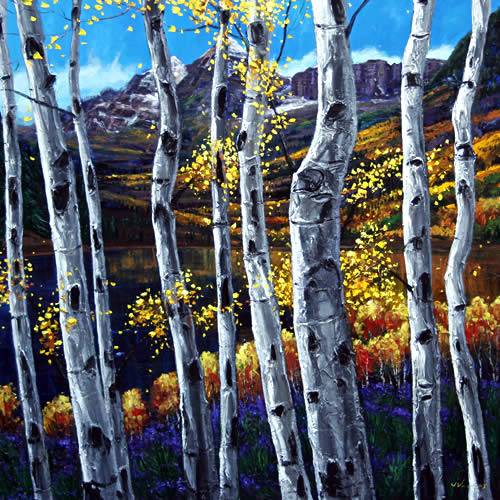 Colorado Splendor