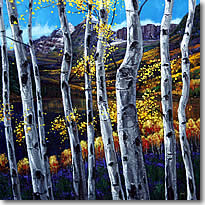 Colorado Splendor
