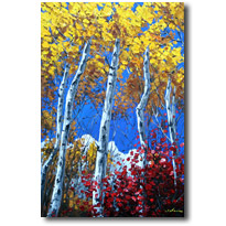 Aspen Blue1