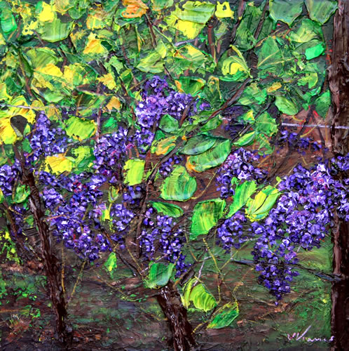 Oregon Grapes