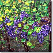 Oregon Grapes