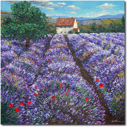 Lavender Haze