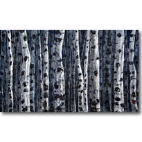 Silver Sentinels