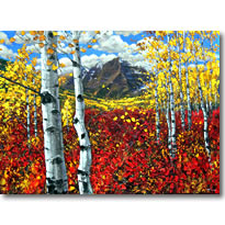 Colorado Vista