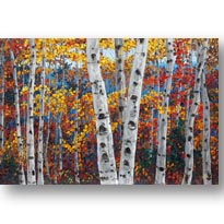 Aspen Confetti