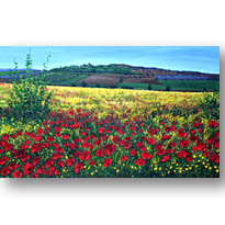 Tuscan Meadow3 205pix