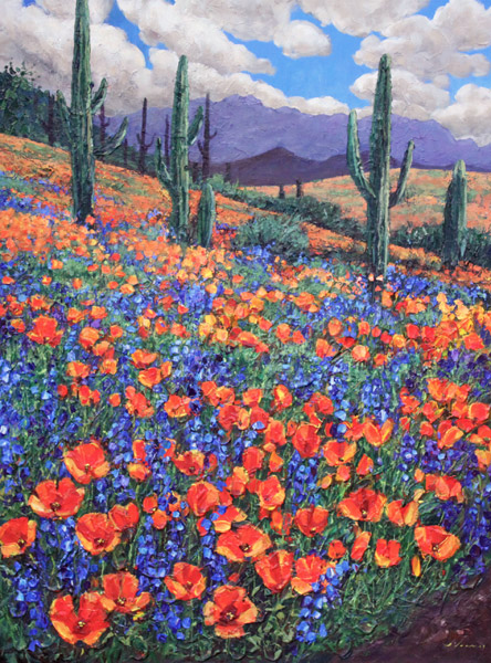 Desert In Spring