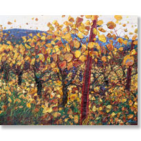 Ardiri 2009 Oregon Harvest 205