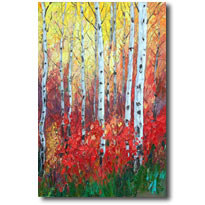 Ablaze With Color