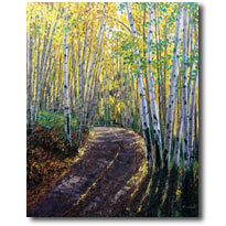 Autumns Walk