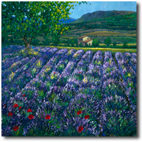 Provence Oasis