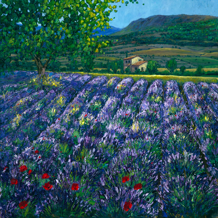 Provence Oasis