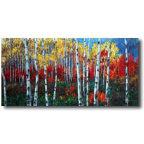 Symphony Of Color5
