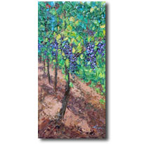 Sun Ripened Grapes