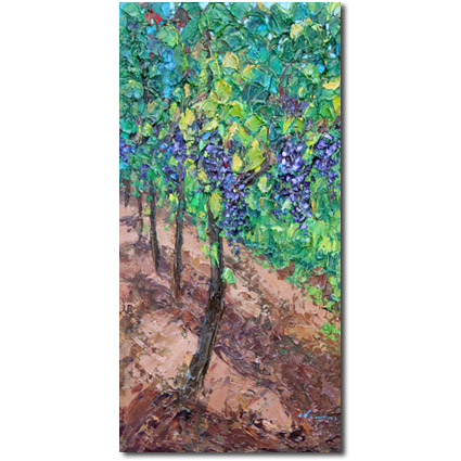 Sun Ripened Grapes