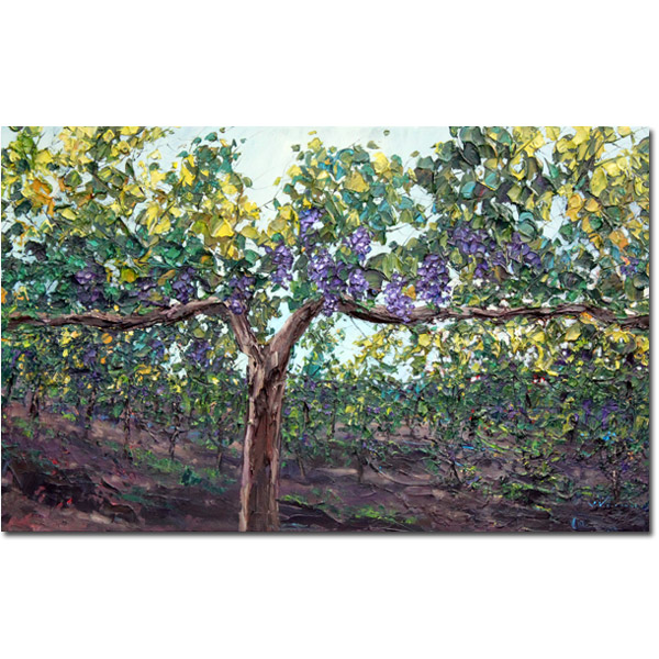 Vineyard Vines 600px Drop