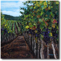Vineyard Walk