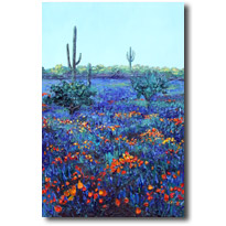 Desert Morning