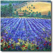 Lavender Sunshine