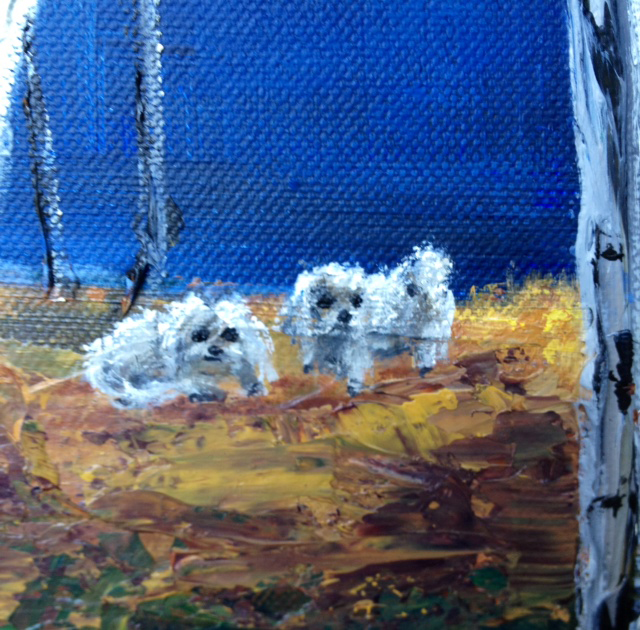 Autumn Morning Dog Closeup