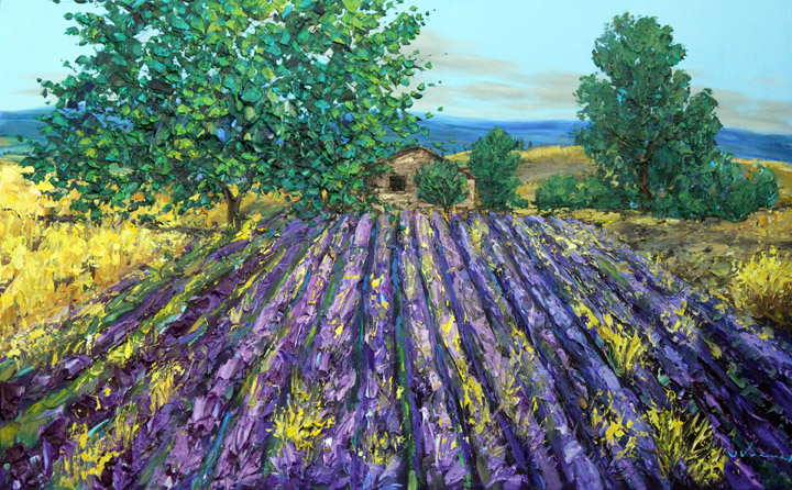 Lavender Farm