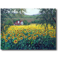 Sunflower Farm