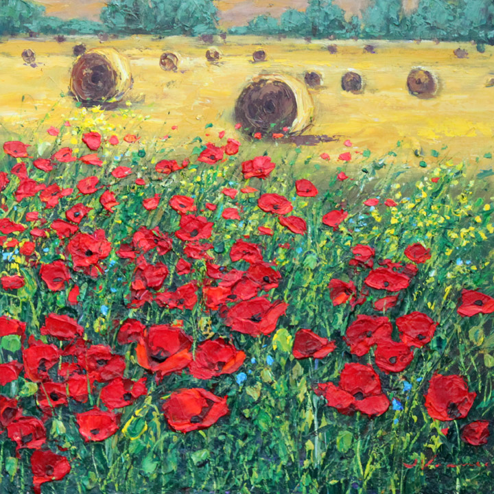 Poppies And Hayfields