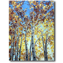 Aspen Dawn