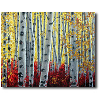 Aspen Sunshine2