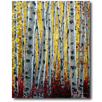 Aspen Sunshine5