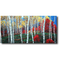 Symphony Of Color6
