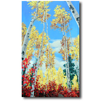 Aspen Wishes