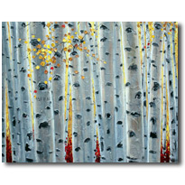 Aspen Colorado