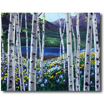 Rocky Mountain Spring