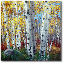 Aspen Wonder
