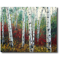 Forest Wonder