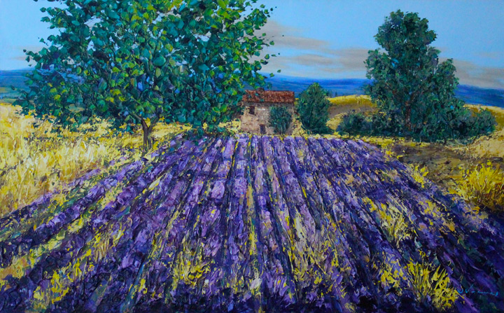 Lavender Farm