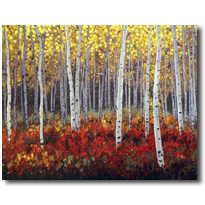 Aspen Secrets
