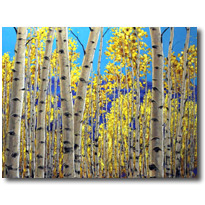Aspen View