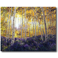 Meadow Of Sunshine