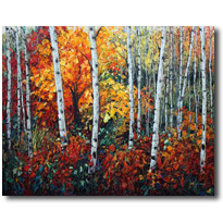 Sunset Maple